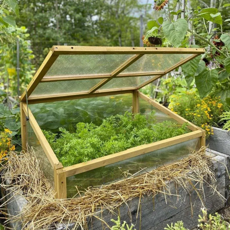 Greenhouses & Cold Frames
