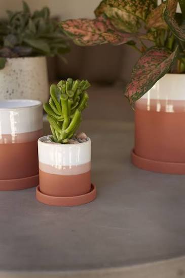 Hadley Pot