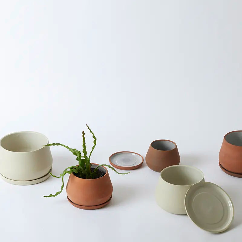 Rancho Planter - 5 Inch with Saucer