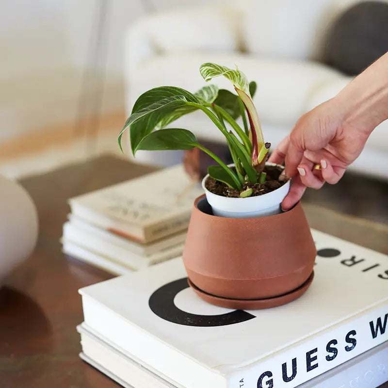 Rancho Planter - 5 Inch with Saucer